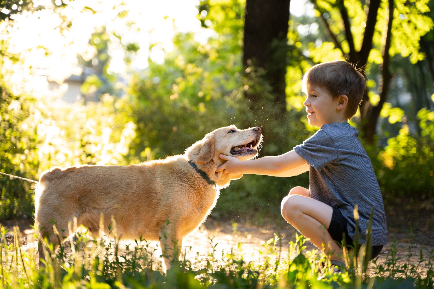 Hoomans talk article image