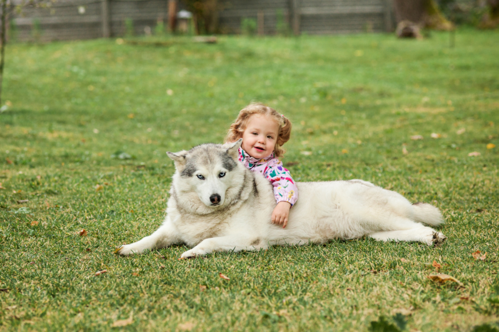 Pros or Cons of Having Pets When you Have a Baby