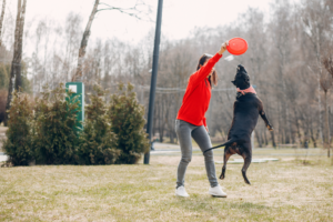 Mistakes That People Make When Training Their Dogs