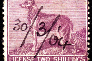 Dog Licencing in India